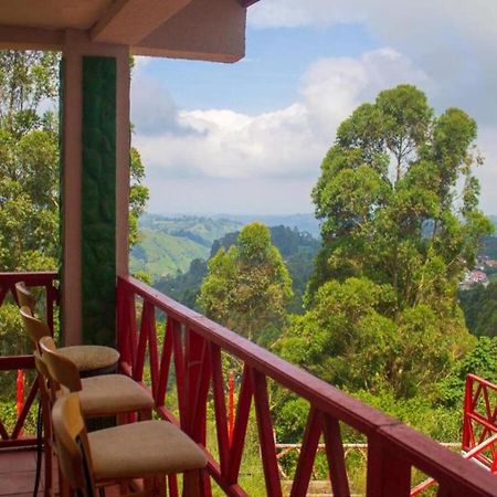 Hotel Natura Cocora ซาเลนโต ภายนอก รูปภาพ
