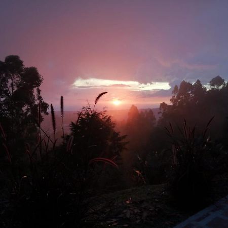 Hotel Natura Cocora ซาเลนโต ภายนอก รูปภาพ