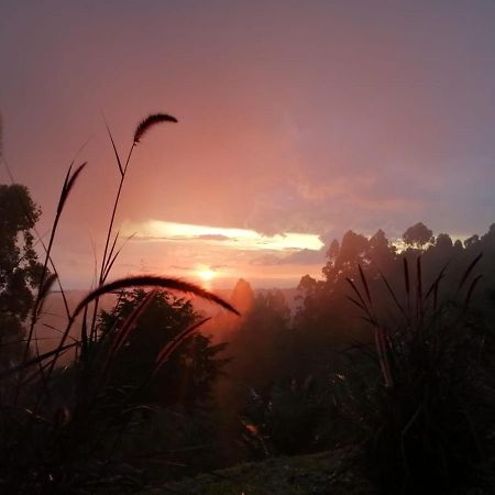 Hotel Natura Cocora ซาเลนโต ภายนอก รูปภาพ