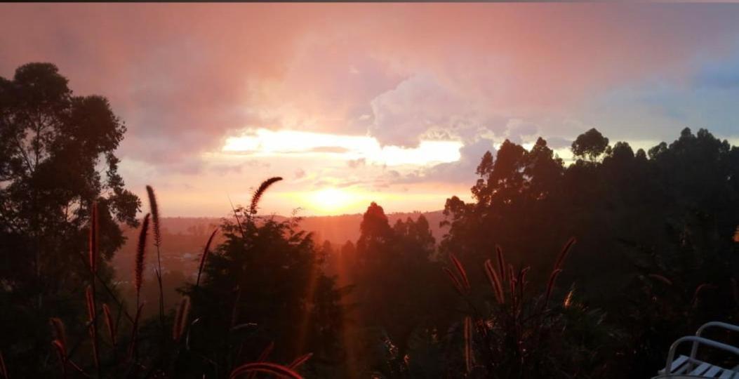 Hotel Natura Cocora ซาเลนโต ภายนอก รูปภาพ