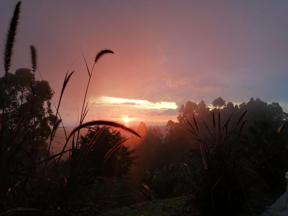 Hotel Natura Cocora ซาเลนโต ภายนอก รูปภาพ